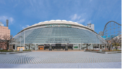 東京ドーム巨人公式戦観戦プラン