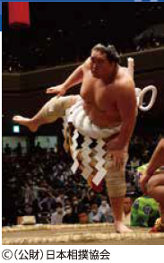 大相撲一月場所観戦