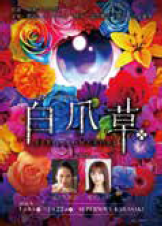 <p>ミュージカル「白爪草」</p>