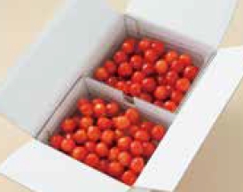 <p>さくらんぼ　産地直送販売のあっせん</p>